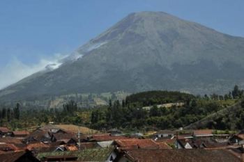 Hutan Lereng Gunung Sindoro Terbakar