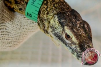 "Surabaya Zoo" Perluas Pemahaman Masyarakat Tentang Fungsi Taman Satwa