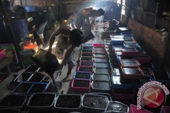 Pengusaha cincau Palembang keluhkan bahan baku naik