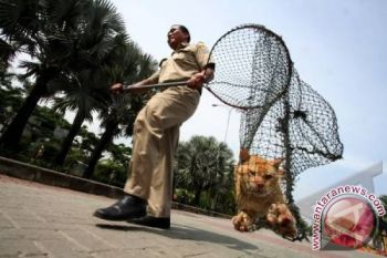 Pemprov NTB keluarkan Surat Edaran Kewaspadaan Rabies