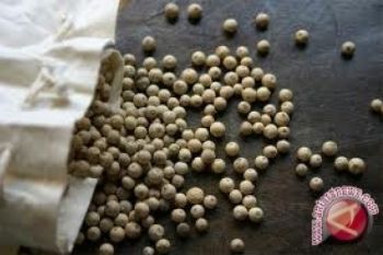 Merica Palsu Berbahan Tepung Beredar di Kudus