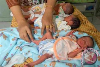Lima Bayi Kembar Lahir di Surabaya