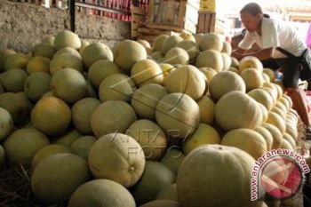Permintaan buah di Makassar sejak Ramadhan meningkat 