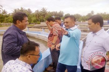 Presiden Jokowi Akan Panen Udang Supra Intensif Di Parigi
