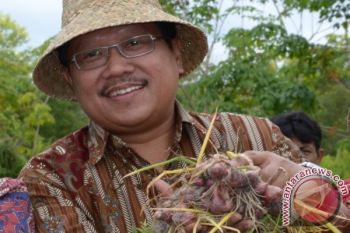 Sosok - Muhamad Nur, Terpanggil Wujudkan Swasembada Pangan di Kalteng