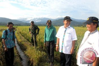 TNI-Petani di Moutong Panen 7,8 Ton Padi