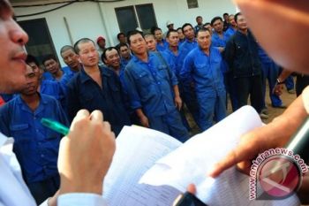 Hanif: Tak Ada Eksodus Tenaga Kerja China ke Indonesia