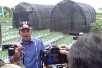 Bupati Kampar Ajak Wartawan Kembangkan RTMPE