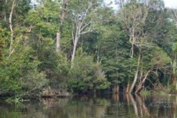 Objek Wisata Indragiri Hulu Jadi Sorotan Warga