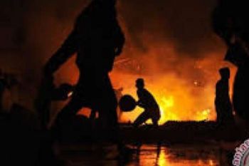 Kebakaran Hutan Pemicu Degradasi Terumbu Karang