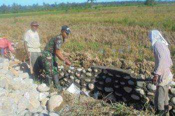Babinsa Koramil Napan bantu petani bangun jaringan irigasi