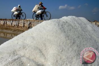 Harga Garam Diawal Musim
