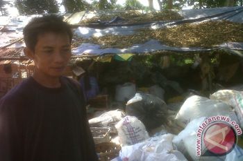 Bergumul Sampah TPA Bakung Jadi Sumber Nafkah