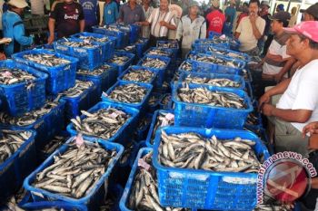 Hasil Tangkapan Ikan di Pekalongan Anjlok