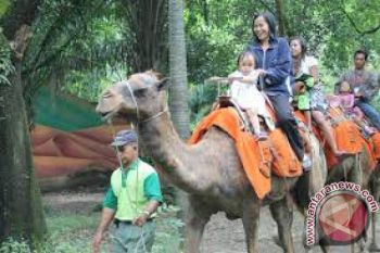 "Animal Show" di Kebun Binatang Surabaya Dikurangi
