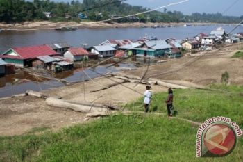 Sungai Barito Surut Warga Panen Ikan Patin