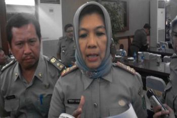 Lampung siapkan 50 ribu ekor sapi