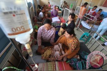 Demam Berdarah Renggut Tiga Nyawa Warga Temanggung