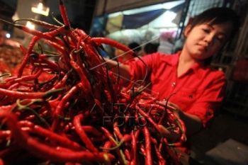 Jelang Lebaran, Harga Cabai Capai Rp40.000/Kg