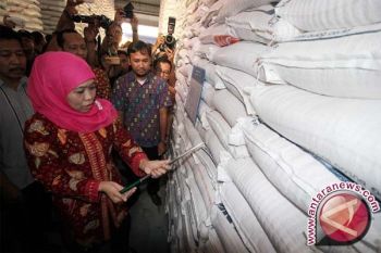 Mensos ke Lani Jaya pastikan logistik mencukupi