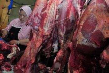 Harga Daging Sapi Bertahan Tinggi Rp110 Ribu/Kg