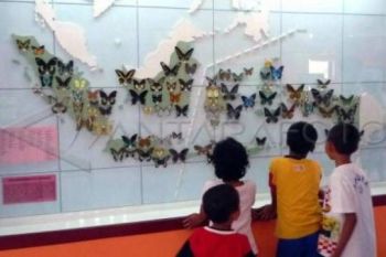 Kunjungan Wisatawan ke Purbalingga Lampaui Target
