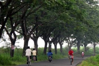 Kudus Bangun Ruang Terbuka Hijau