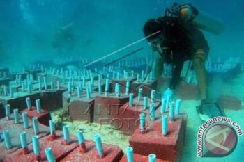 Kapolres transplantasi terumbu karang di Pulau Pangkep 