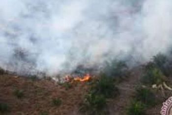 120 Hektare Lahan Sawit Pemda Siak Terbakar