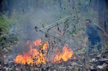 Waspadai, Kebakaran Hampir Tiap Hari Terjadi di Jateng