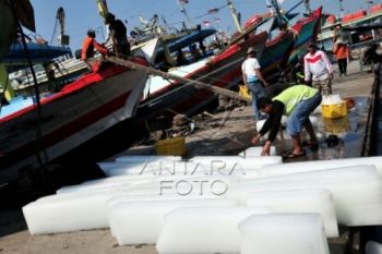 Gelombang Tinggi, Aktivitas Pelelangan Ikan di Pekalongan Sepi