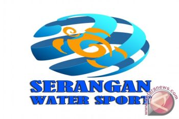 Pengelola Wisata Serangan Lindungi Hiu Sirip Putih