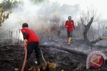 Polres Seruyan Tangkap Pelaku Pembakar Lahan 