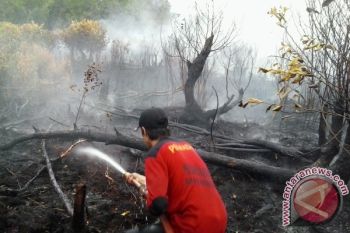Kotim Perlu Antisipasi Dini Kemarau Panjang 2017