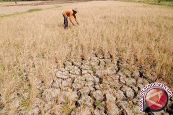 Pemerintah akan lakukan hujan buatan tanggulangi kekeringan