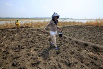 Penggelontoran Air Waduk Kedungombo Dimulai September