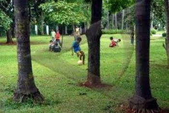 Temanggung Kekurangan Ruang Terbuka Hijau 
