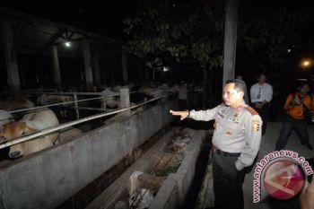 Kabareskrim Tengarai Kelangkaan Daging Disebabkan ada Pihak yang Bermain