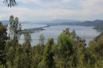 Pemprov Papua apresiasi Marinir menanam terumbu karang