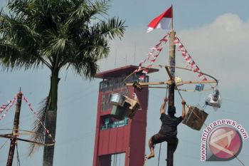 Festival  panjat pinang