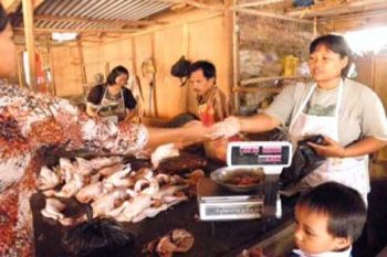 Harga Daging Ayam Melambung,. Omzet Penjualan Jeblok