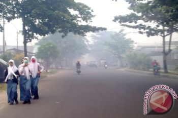 Kualitas Udara Kotawaringin Timur Tidak Sehat
