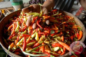 Harga Cabai Rawit Merah Kian "Ganas"