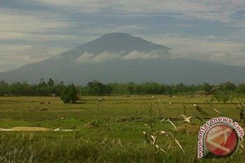 Lereng Gunung Ciremai Kuningan Terbakar
