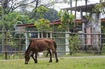 Asik, PNS Gratis Masuk Taman Jurug