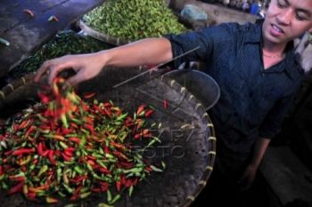 Pasokan Terbatas, Harga Cabai Menyentuh Rp70 Ribu/Kg
