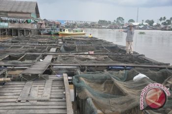 Cuaca Panas Turunkan Produksi Ikan Waduk Cengklik Boyolali