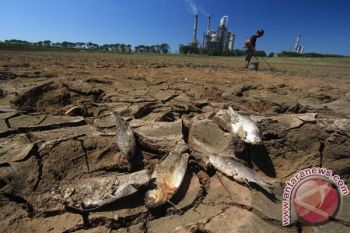Warga Karangbawang Banyumas Kesulitan Air Bersih