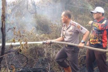 Kebakaran Meranti Hanguskan 616,4 Hektare