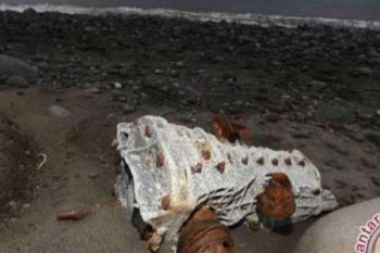 Uji Forensik Flaperon MH370, Apa Yang Bisa Dipelajari?